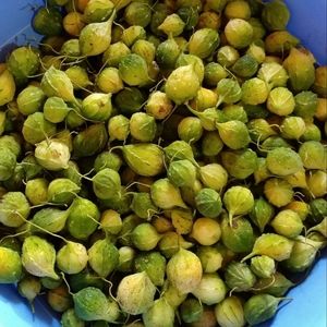 Meet your Posher, Myra